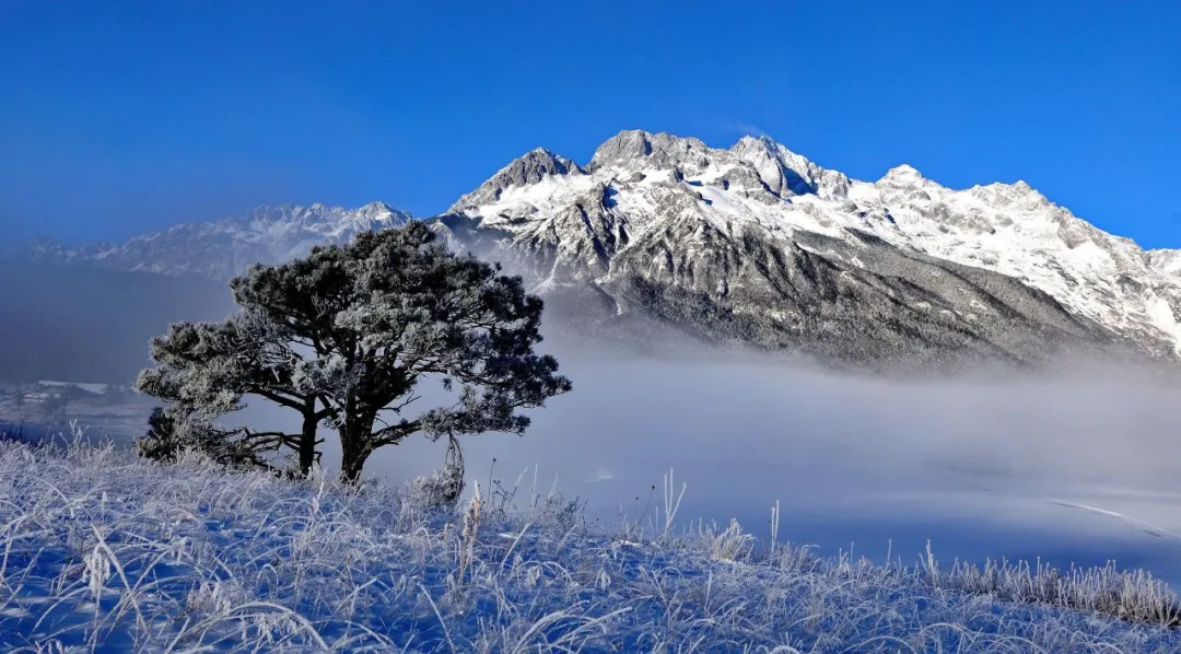 云南丽江纳西族联动外观上线，将千年非遗复刻进游戏，共赏民族文化之美~