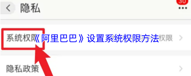 《阿里巴巴》设置系统权限方法