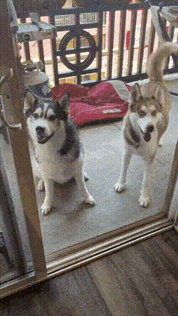 小姐姐泳衣是不是飞出去了 动图 怎么帮助男朋友高兴起来(图1)