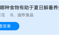 以下哪种食物有助于夏日解暑养生