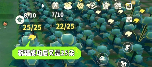 米姆米姆哈提升苍翠小花产量方式