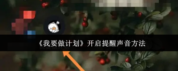 《我要做计划》开启提醒声音方法