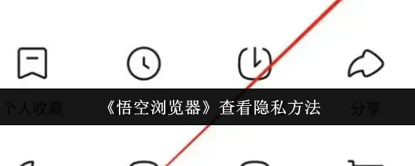 《悟空浏览器》查看隐私方法