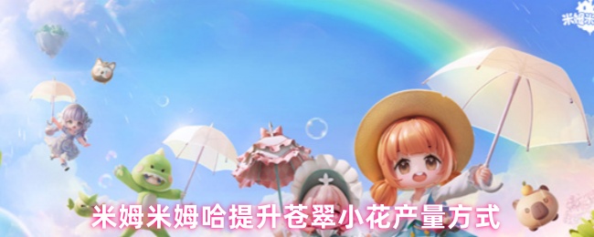 米姆米姆哈提升苍翠小花产量方式