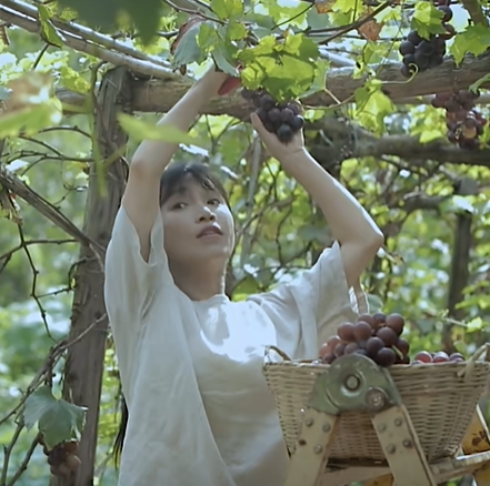 论上海主理人是如何一脚踹出沈阳大街的夏天(图8)