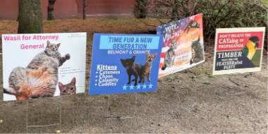 鸟、狗、猫和蛇们，正在美国竞选“市长”