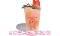 柠乐音乐歌曲下载步骤