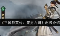 《三国群英传：策定九州》赵云介绍