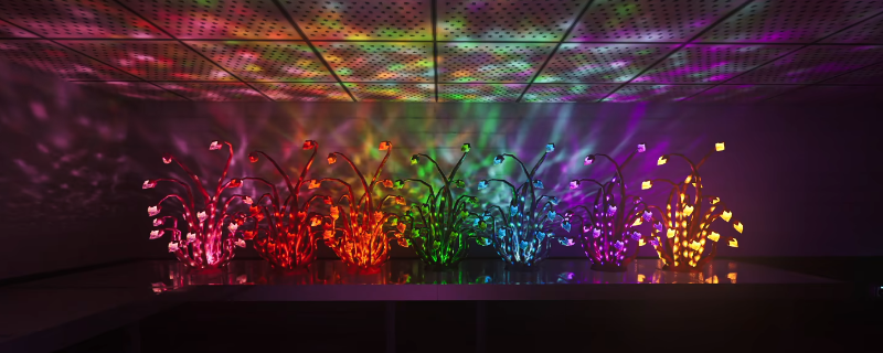 《非生物因素》全颜色异色之光获得方法介绍