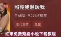 红果免费短剧小说下载教程