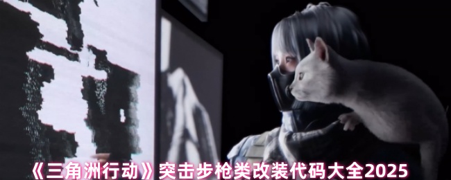 《三角洲行动》突击步枪类改装代码大全2025