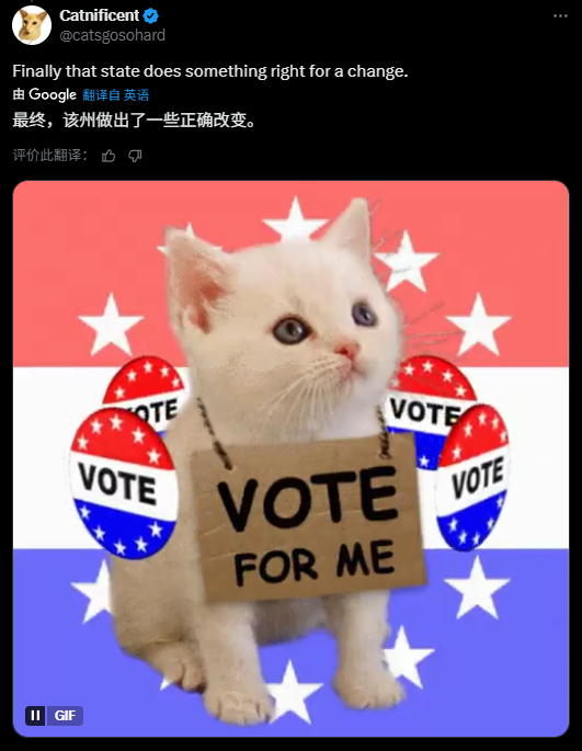 鸟、狗、猫和蛇们，正在美国竞选“市长”(图11)