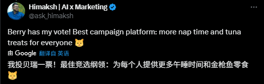 鸟、狗、猫和蛇们，正在美国竞选“市长”(图8)