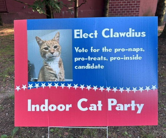 鸟、狗、猫和蛇们，正在美国竞选“市长”(图3)