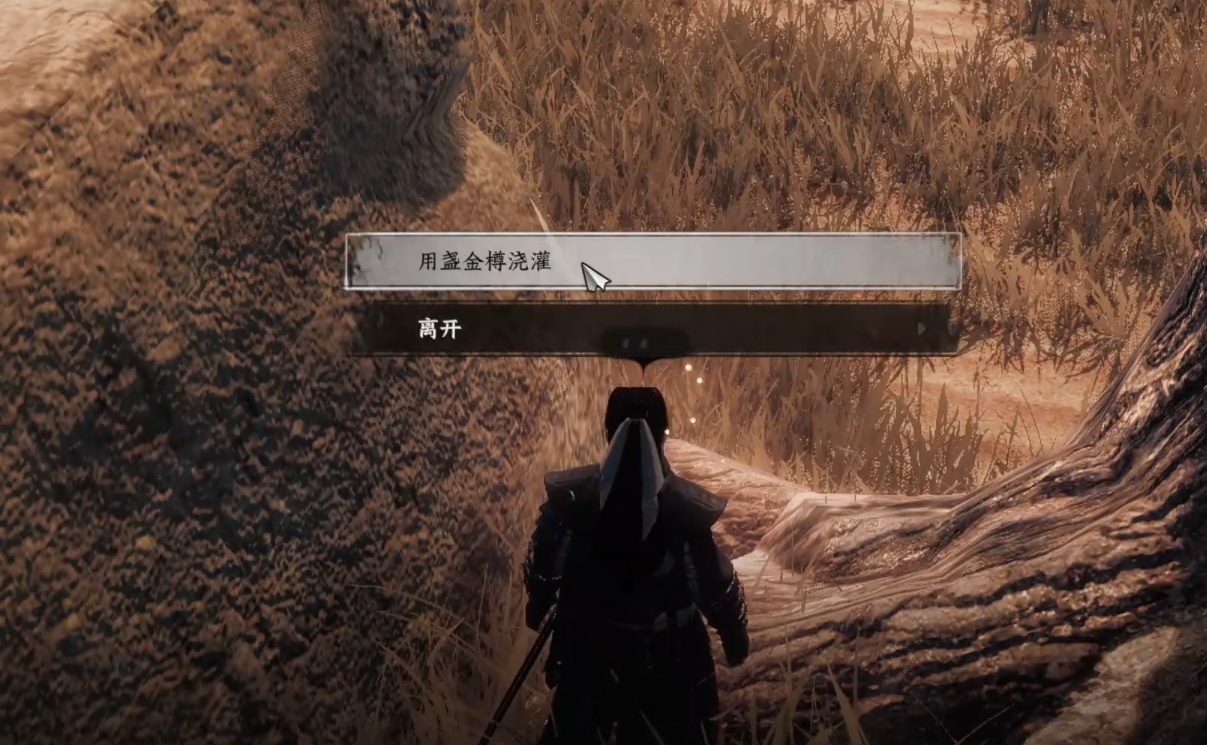 《下一站江湖2》侠窟秘藏获取攻略(图4)