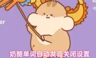 奶酪单词自动发音关闭设置