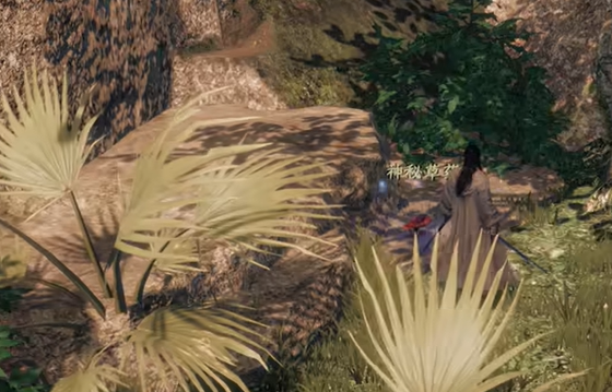 《下一站江湖2》花安位置介绍(图2)