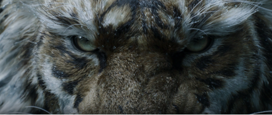 《黑神话：钟馗》发售时间公布了？免下载免安装，PC、手机、TV都能玩！