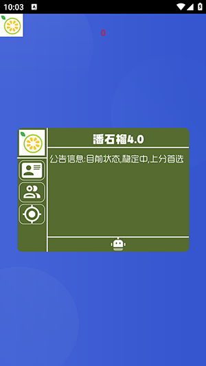 番石榴直装(图1)