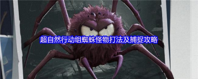 超自然行动组蜘蛛怪物打法及捕捉攻略