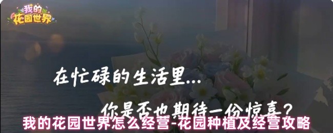 《我的花园世界》花园种植及经营攻略(图1)