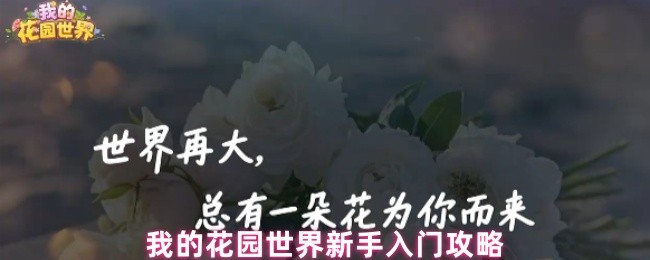 我的花园世界新手入门攻略(图1)