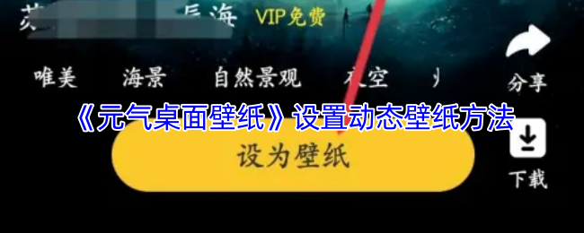 《元气桌面壁纸》设置动态壁纸方法