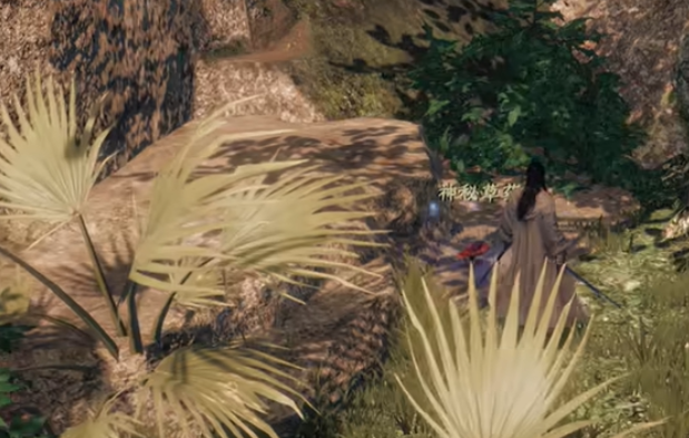 下一站江湖2花安在哪里-下一站江湖2花安位置介绍