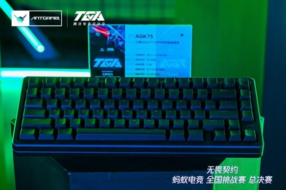 赛事全面升级！2025TGA无畏契约蚂蚁电竞全国挑战赛火热进行中！(图4)
