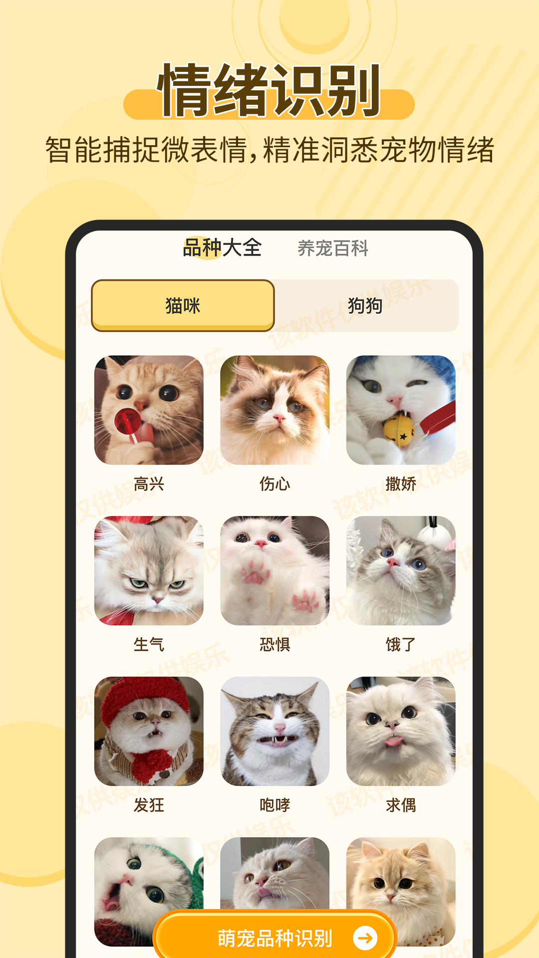 
宠物猫狗交流助手