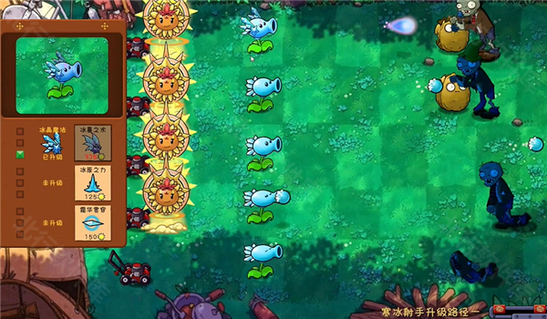 植物大战僵尸共生版