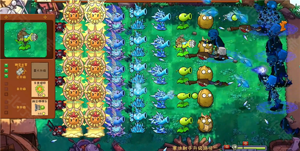 植物大战僵尸共生版