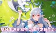 《猎风传说》宠物炎魂斗龙技能介绍