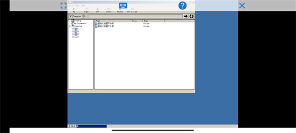 植物大战僵尸95版 免费正版(图5)