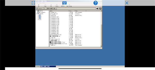 植物大战僵尸95版 免费正版(图6)