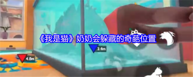 《我是猫》奶奶会躲藏的奇葩位置