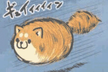 小姐姐亲亲~！滚！ 动图 摄影师你是懂我们想看什么的