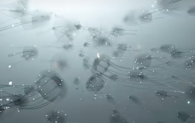 光遇破晓季小金人在哪 光遇破晓季小金人位置2025(图4)