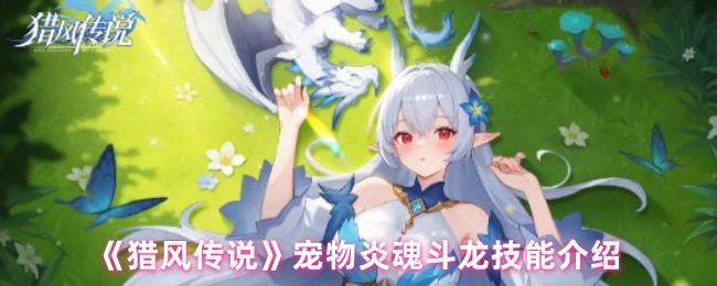 《猎风传说》宠物炎魂斗龙技能介绍(图1)