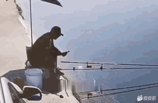 小姐姐亲亲~！滚！ 动图 摄影师你是懂我们想看什么的(图2)