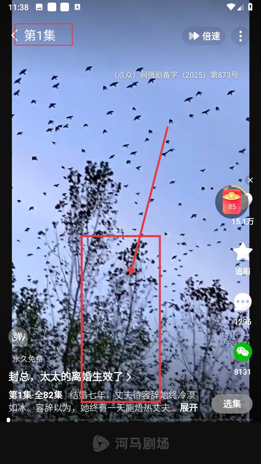 《河马剧场》查看历史视频方法(图4)