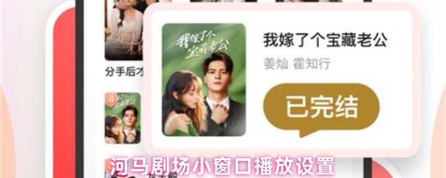 河马剧场小窗口播放设置