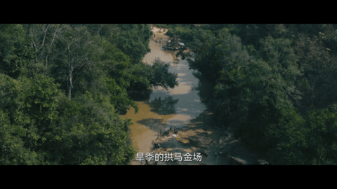 
今日影视纯净tv版