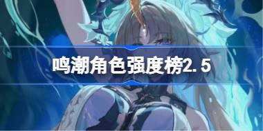 鸣潮角色强度榜2.5 鸣潮角色节奏榜最新2025