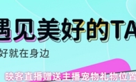 映客直播赠送主播宠物礼物位置