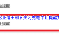 《比亚迪王朝》关闭充电中止提醒方法