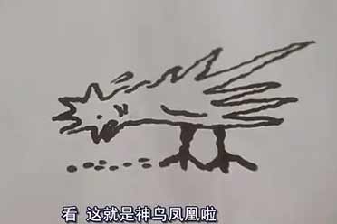 海南女子竟捡到了《唐伯虎点秋香》中的“神鸟凤凰”