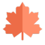 枫叶音乐播放器