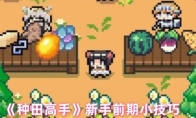 《种田高手》新手前期小技巧