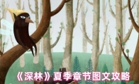 《深林》夏季章节图文攻略
